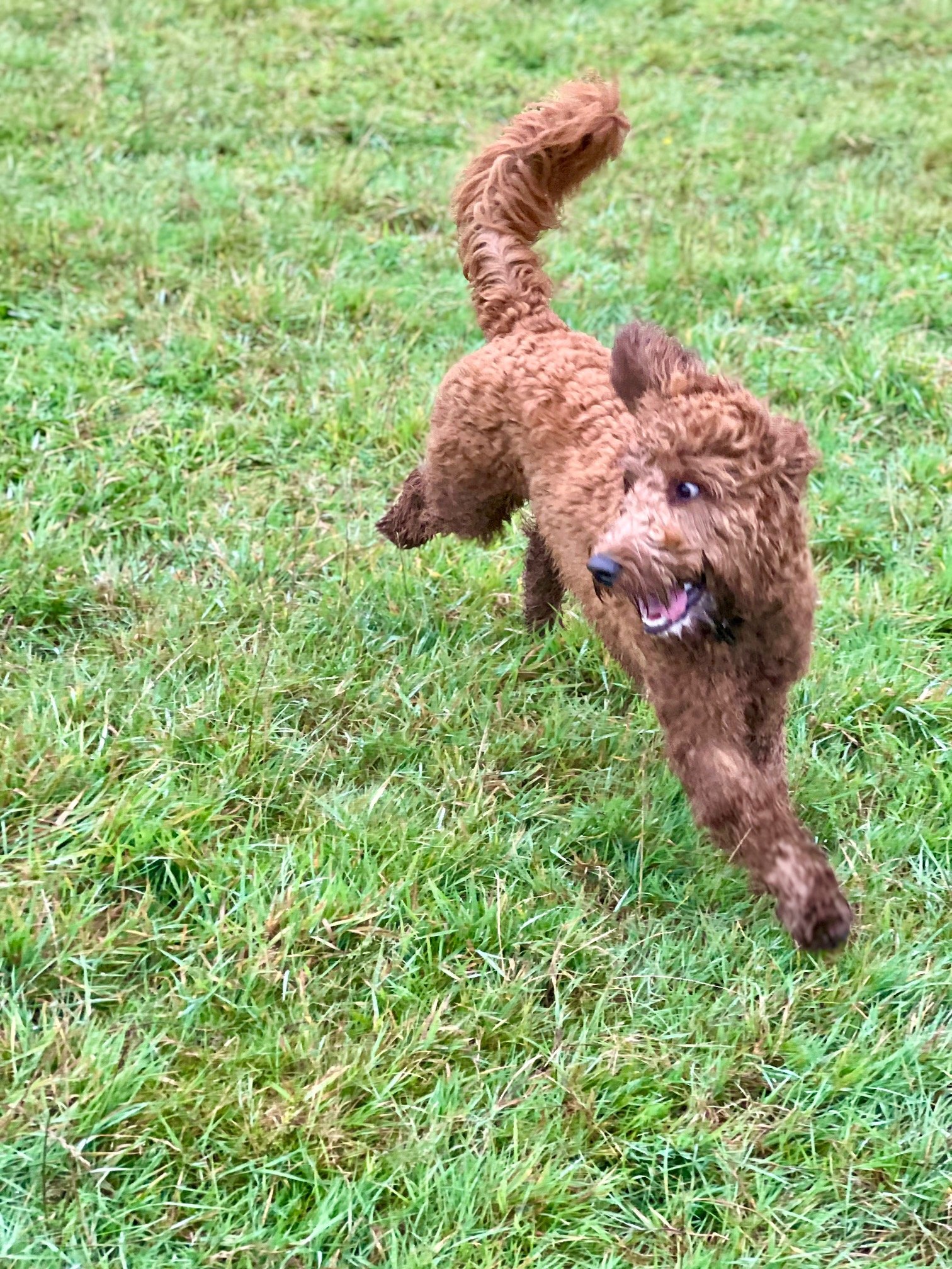 Rusty running